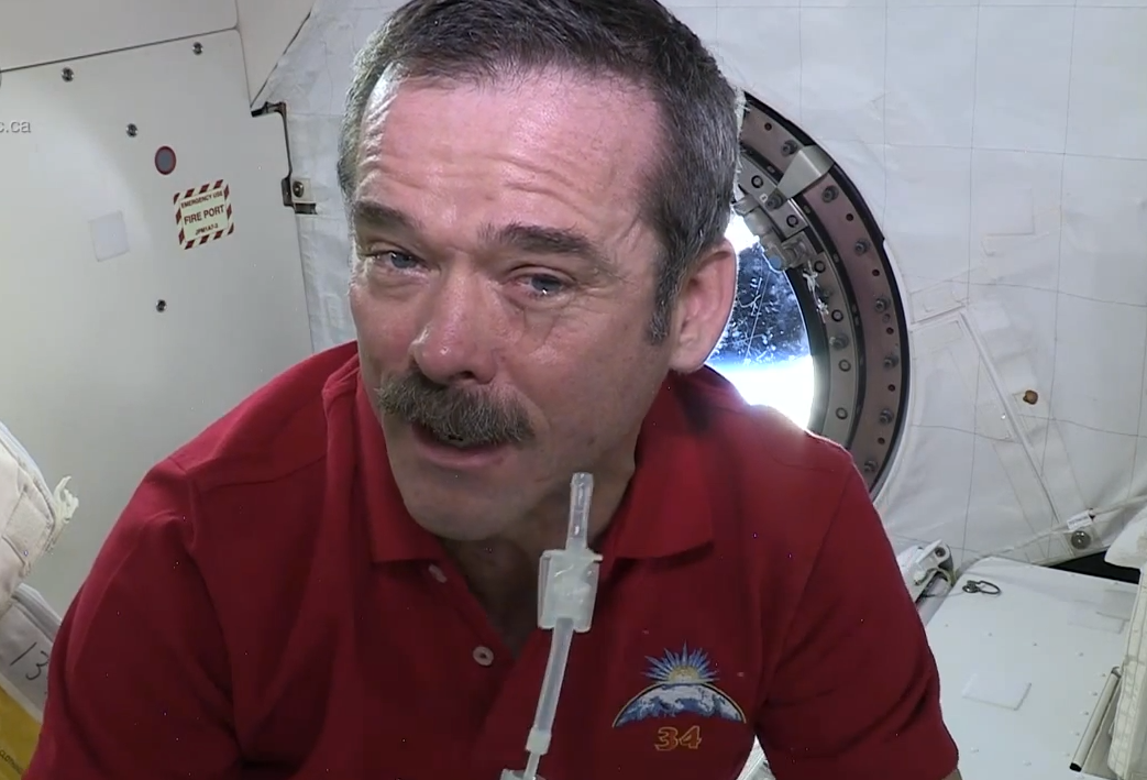 Chris Hadfield, l’astronaute le plus populaire de YouTube