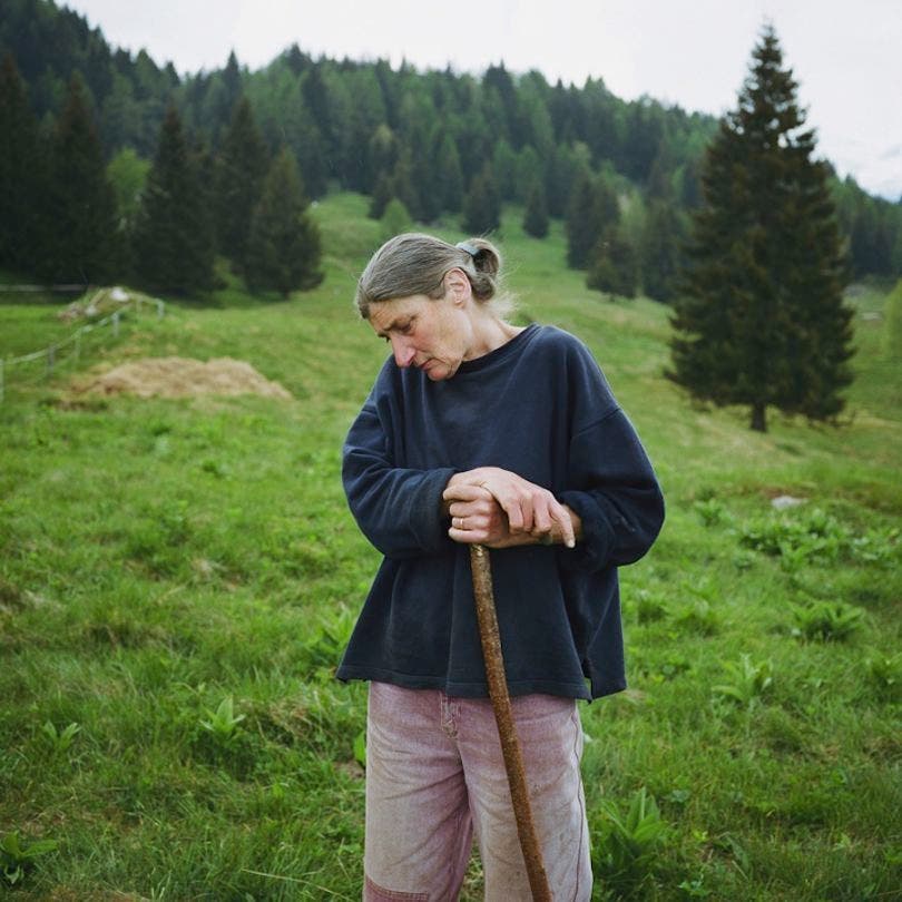 "Cette photo, c'est l'exemple de l'approche intime que j'évoquais. C'était un soir, un veau venait de mettre bas, c'est un contexte un peu particulier, c'est quelque chose de presque intime" - Crédit Image Antoine Bruy 