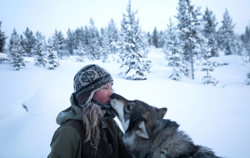 En images : elle a quitté sa vie pour élever des huskies en Laponie