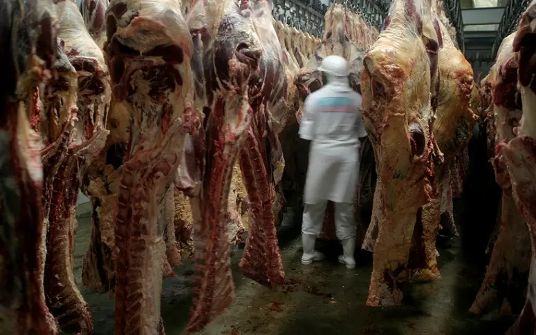 Profession “tueur” : les coulisses d’un abattoir racontées par l’un de ses ouvriers