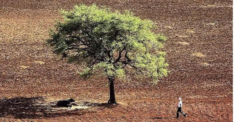 À cause du changement climatique, il pourrait faire trop chaud pour travailler d’ici 2030