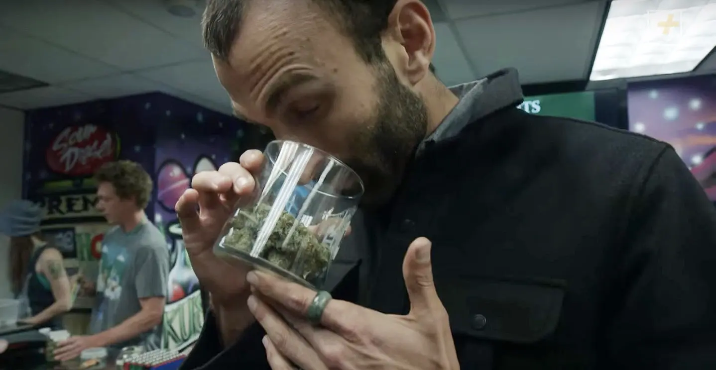 Participez à des dégustations de weed avec ce sommelier d’un nouveau genre