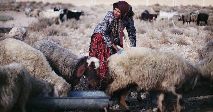 Kares Le Roy est allé à la rencontre des derniers nomades d’Iran