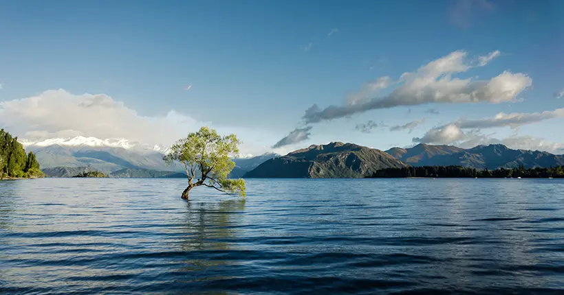 L’écologie est pour l’instant la grande oubliée de la campagne présidentielle