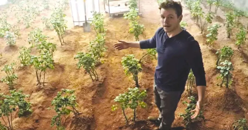 D’après une étude, on va pouvoir faire pousser des patates sur Mars, comme dans Seul sur Mars