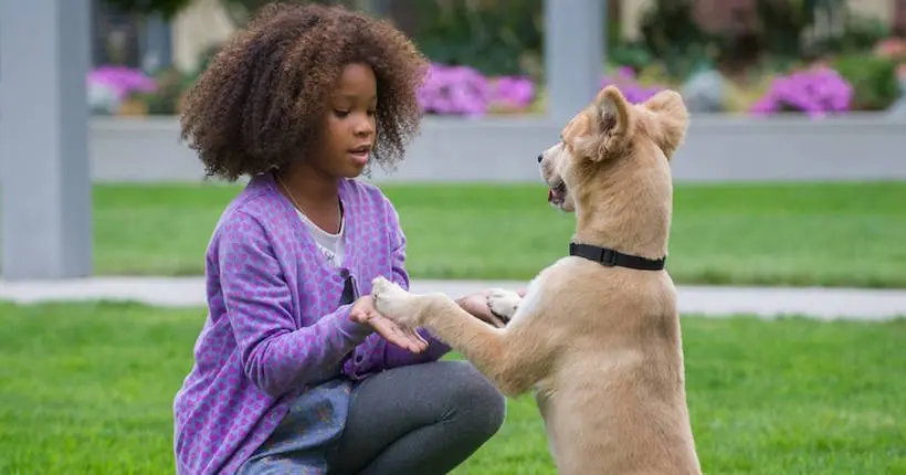 Aux États-Unis, les petites filles noires seraient perçues comme moins innocentes que les blanches