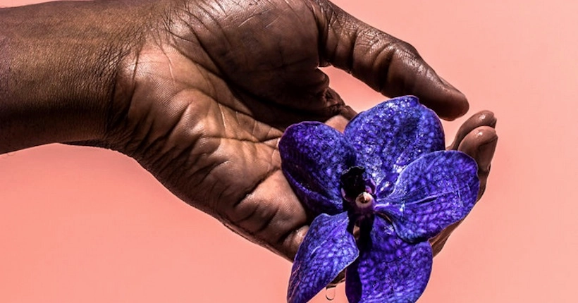 Les photos de fleurs pop et hautes en couleur de Suzanne Saroff