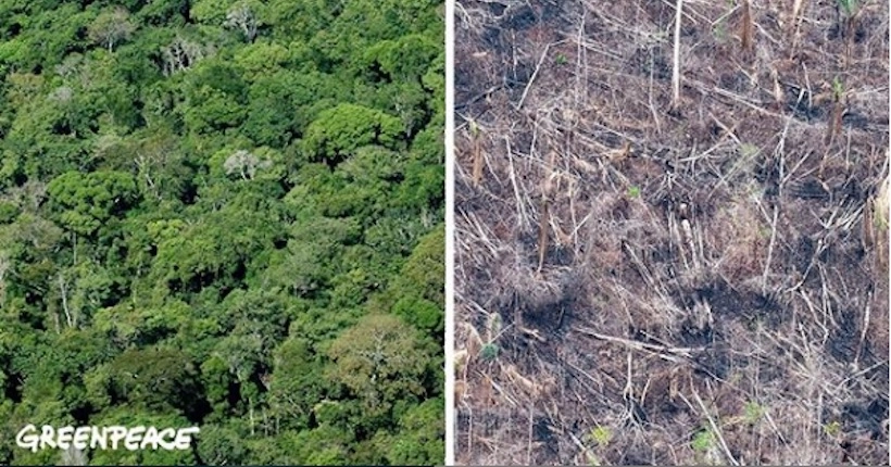 Quand le “10 years challenge” sert la cause écologique