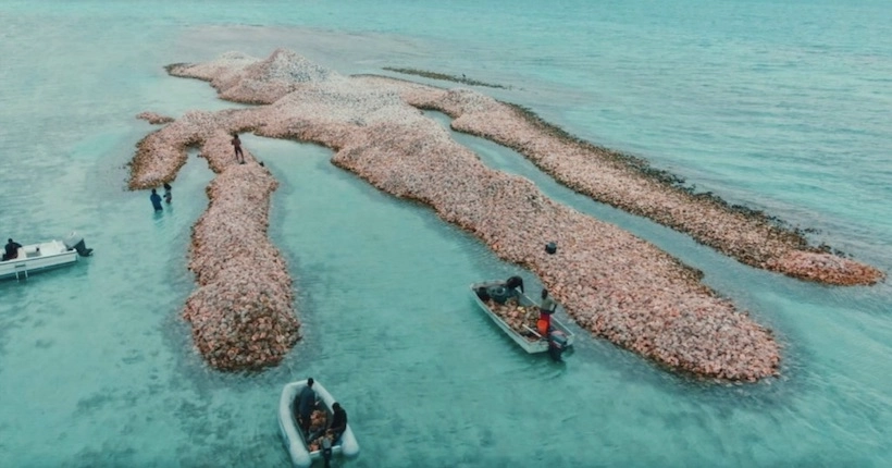 En images : une petite île faite de coquillages se trouve en plein milieu des Caraïbes