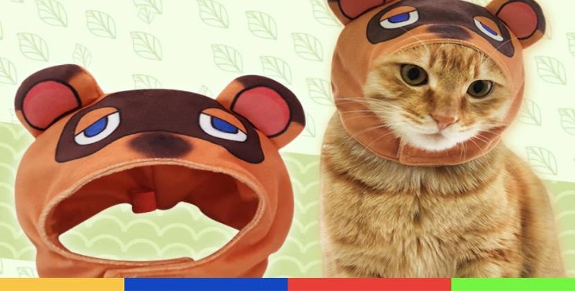 Vous pouvez déguiser votre chat en Tom Nook (et c’est trop mignon)