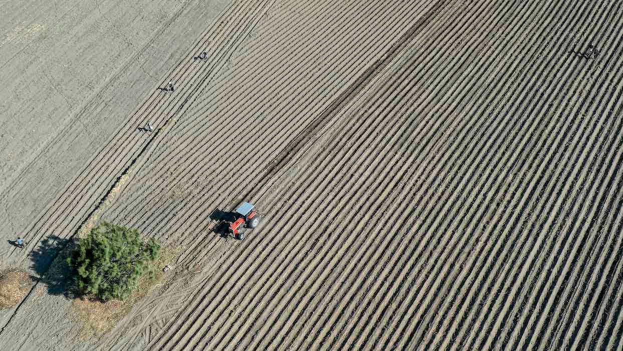 <p>Champ de maïs, San Pedro Nexapa, Mexique, le 3 avril 2020. © PEDRO PARDO / AFP</p>
