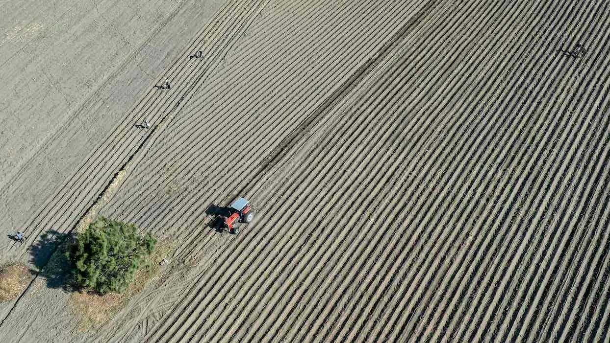 Environnement : le glyphosate et le maïs OGM bannis au Mexique