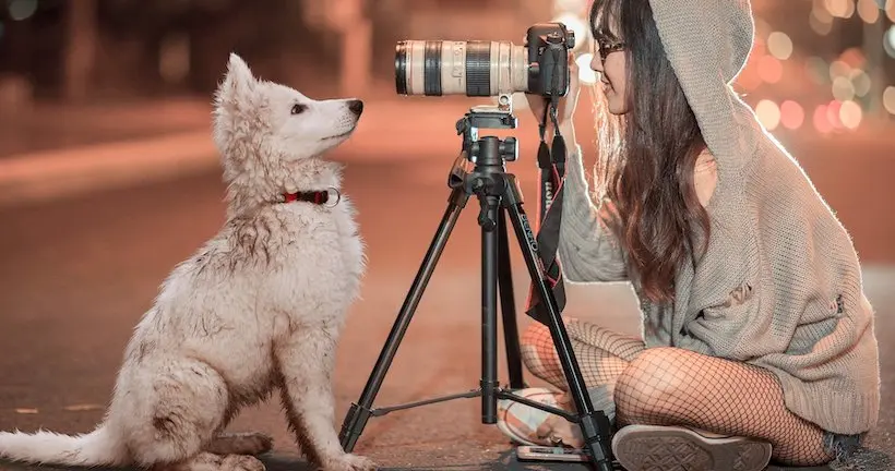 Quand de mignons animaux viennent perturber des photographes en plein travail