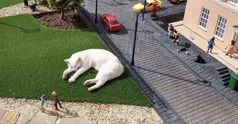 En images : au Royaume-Uni, des animaux s’invitent dans un village miniature