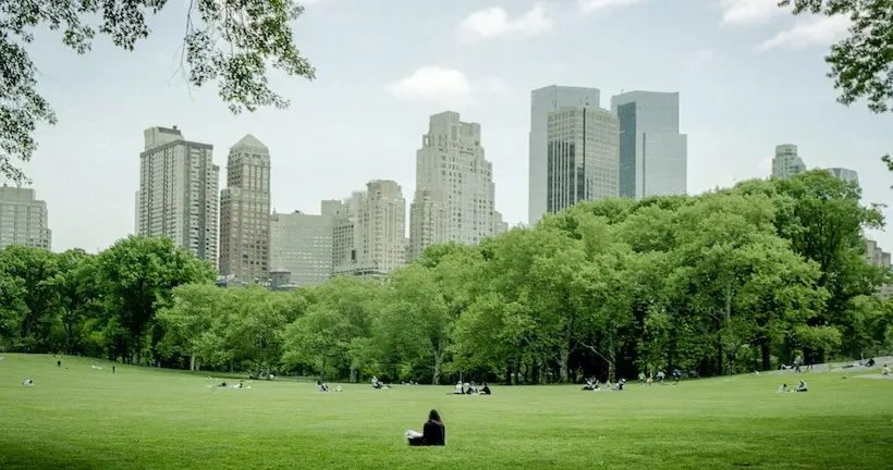 Un cube en or de 186 kilogrammes est apparu à Central Park