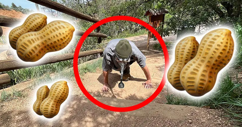 L’histoire du gars qui a gravi une montagne en poussant une cacahuète avec son nez