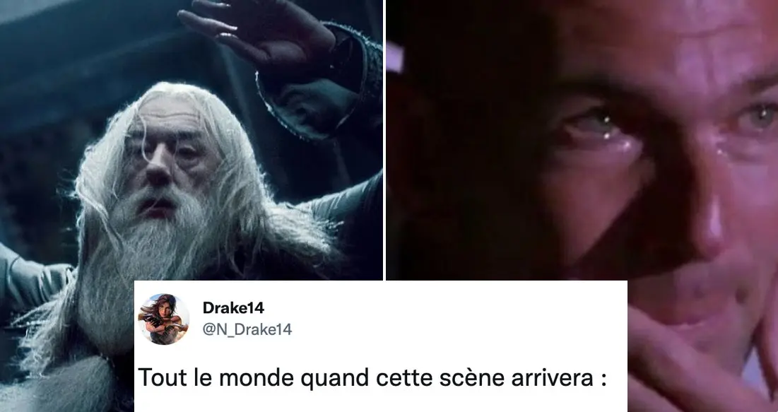 Harry Potter et le Prince de sang-mêlé diffusé une 524263e fois à la télé : le grand n’importe quoi des réseaux sociaux