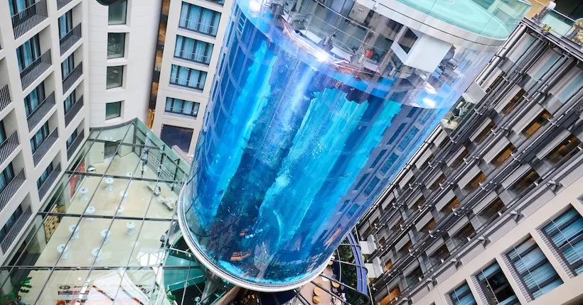 Un aquarium géant a explosé dans un hôtel à Berlin